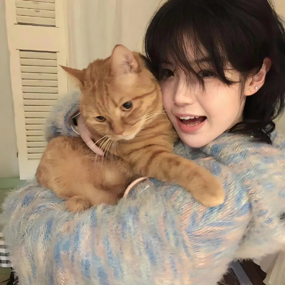 杀手猴 第二季 海报