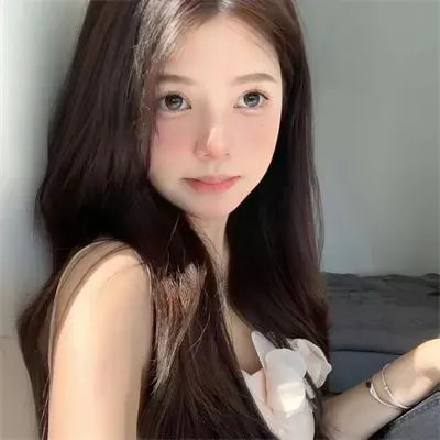 爱猫之城 海报
