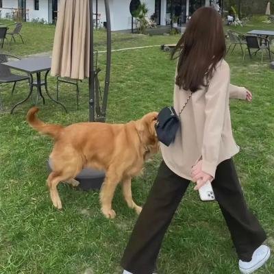 非恋人絮语