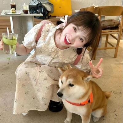红线 海报